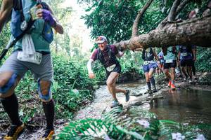 BIB: 
                            <button type="button" onclick="openModal(25459946)" class="btn btn-primary btn-sm float-right btn-popup" data-toggle="modal" data-target=".modal-high-quality">
                        <i class="fas fa-shopping-cart"></i> Add to Cart
                    </button>
                                            <button type="button" onclick="isThisMe(25459946, true)" class="btn btn-success btn-sm float-right btn-popup btn-isme hidden" data-toggle="tooltip" data-placement="bottom" title="นี่คือรูปของคุณใช่ไหม คลิกที่นี่เพื่อเอาเข้าอัลบั้ม">
                        <i class="fas fa-plus"></i> Add to album
                    </button>
                    <button type="button" onclick="isThisMe(25459946, false)" class="btn btn-warning btn-sm float-right btn-popup btn-isnotme hidden">
                        <i class="fas fa-ban"></i> Remove from album
                    </button>